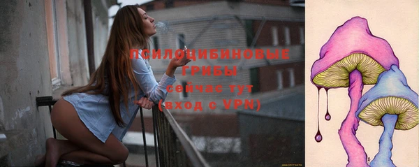 гашик Карпинск
