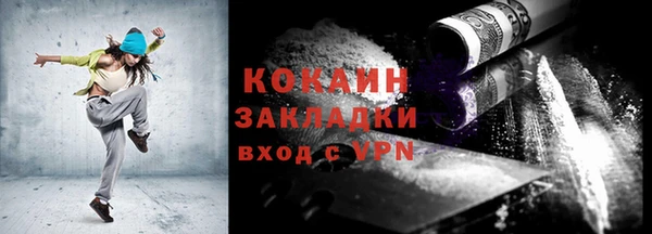 гашик Карпинск