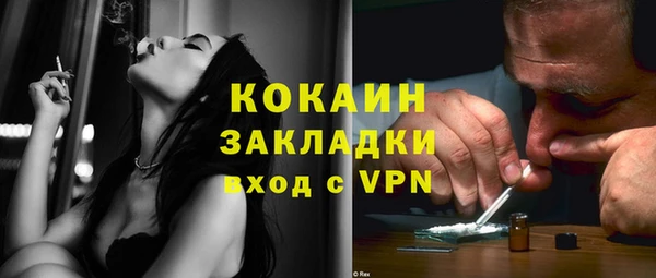 гашик Карпинск