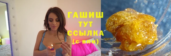 гашик Карпинск