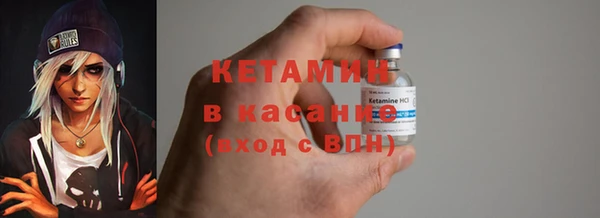 гашик Карпинск