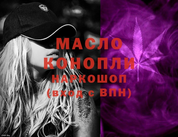гашик Карпинск