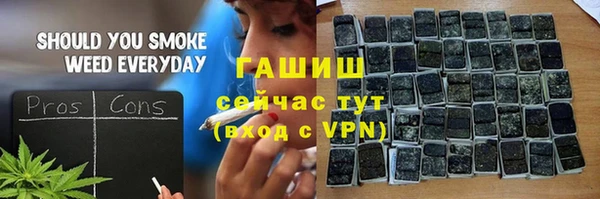 гашик Карпинск