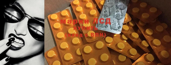 гашик Карпинск