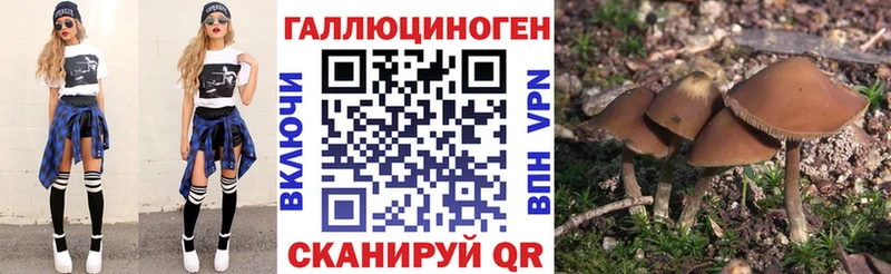 Купить где  Демидов  Галлюциногенные грибы MAGIC MUSHROOMS 